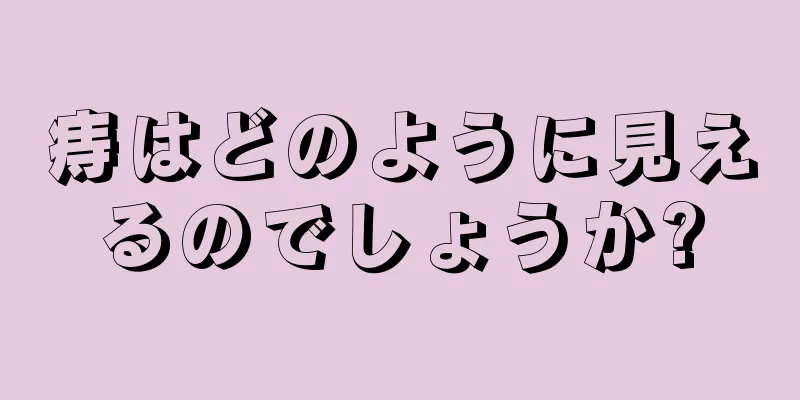 痔はどのように見えるのでしょうか?