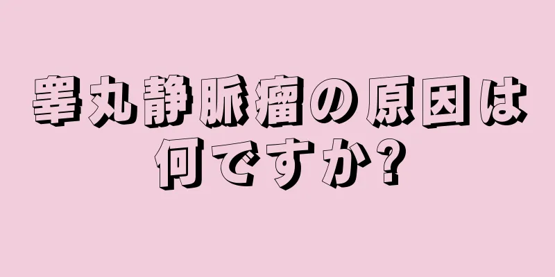 睾丸静脈瘤の原因は何ですか?