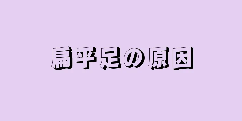 扁平足の原因