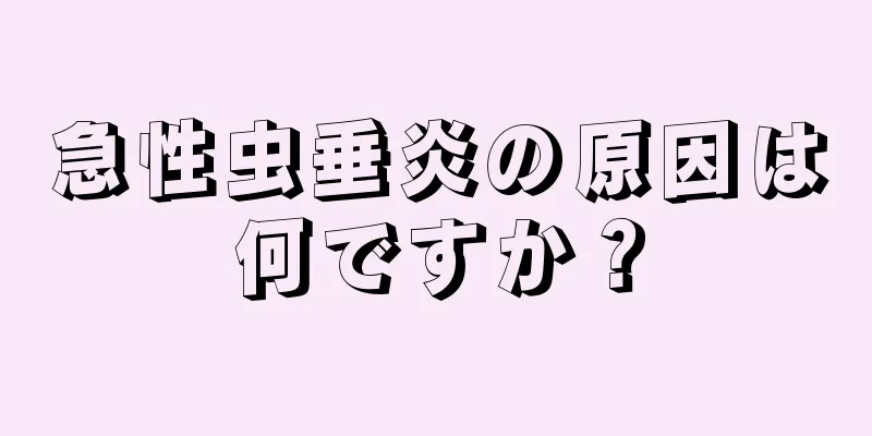 急性虫垂炎の原因は何ですか？