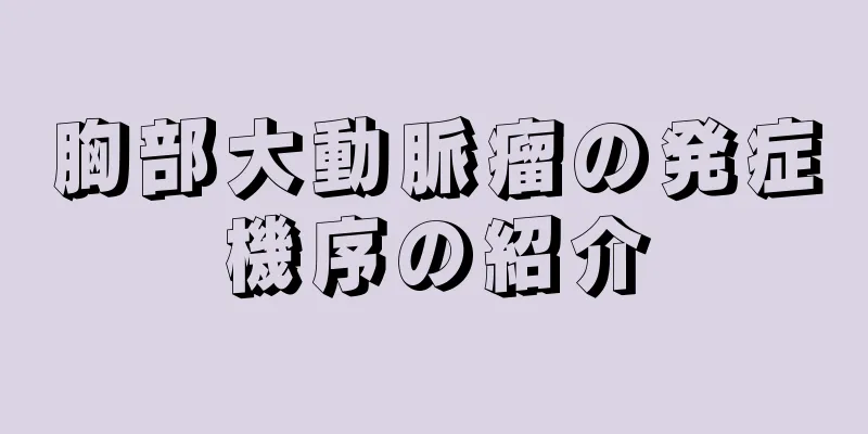 胸部大動脈瘤の発症機序の紹介