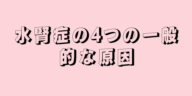 水腎症の4つの一般的な原因