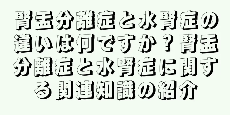 腎盂分離症と水腎症の違いは何ですか？腎盂分離症と水腎症に関する関連知識の紹介
