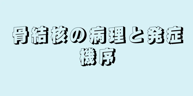 骨結核の病理と発症機序