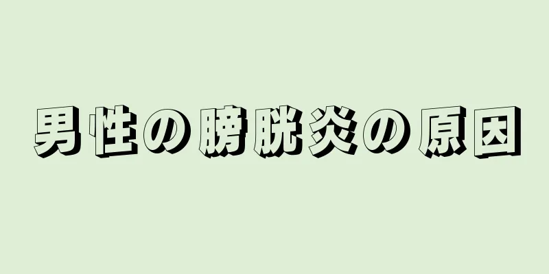男性の膀胱炎の原因