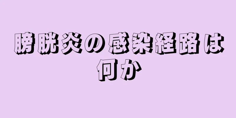 膀胱炎の感染経路は何か