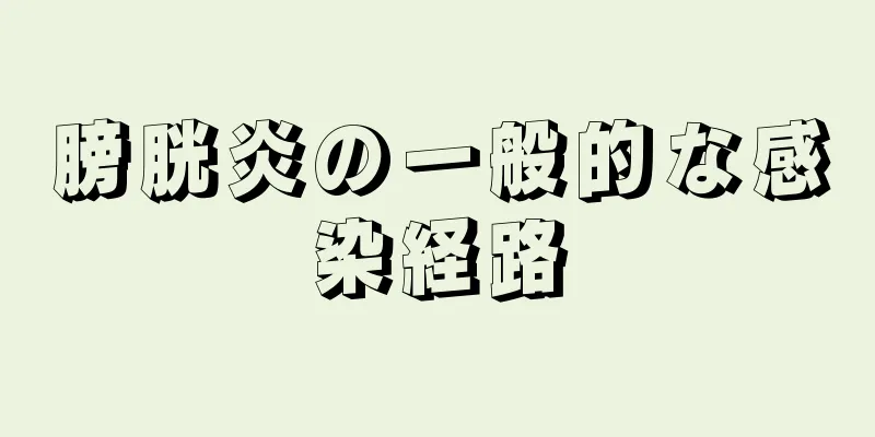 膀胱炎の一般的な感染経路