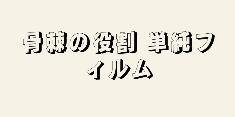 骨棘の役割 単純フィルム
