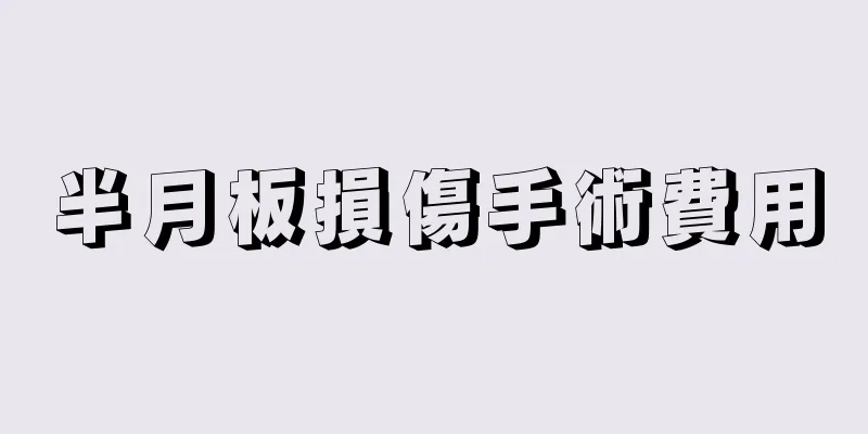 半月板損傷手術費用