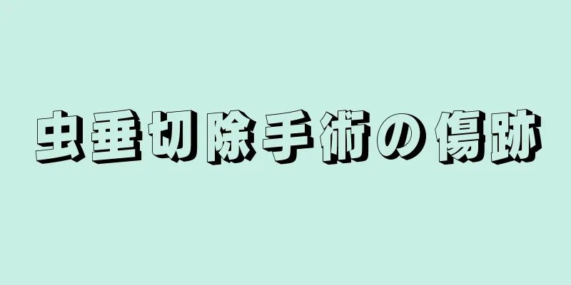 虫垂切除手術の傷跡
