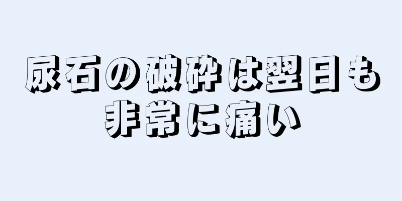 尿石の破砕は翌日も非常に痛い