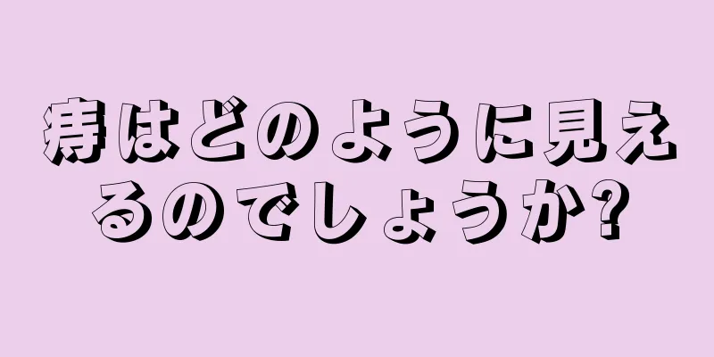 痔はどのように見えるのでしょうか?