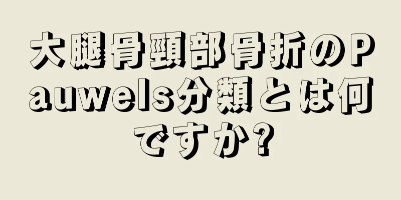 大腿骨頸部骨折のPauwels分類とは何ですか?
