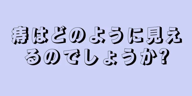 痔はどのように見えるのでしょうか?