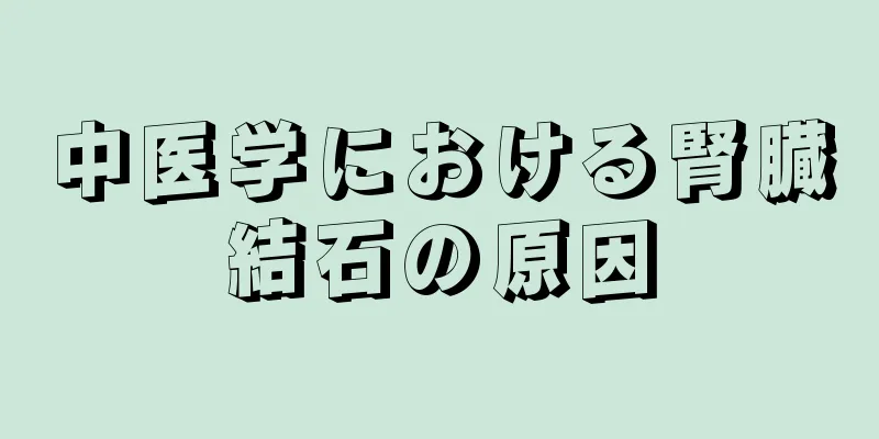 中医学における腎臓結石の原因