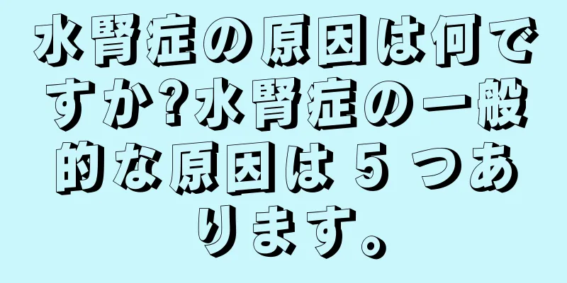水腎症の原因は何ですか?水腎症の一般的な原因は 5 つあります。