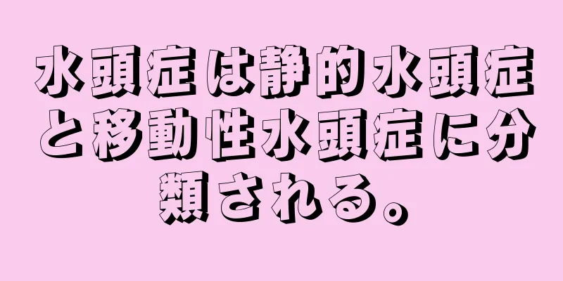 水頭症は静的水頭症と移動性水頭症に分類される。