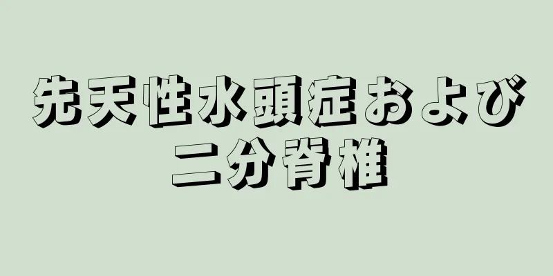 先天性水頭症および二分脊椎