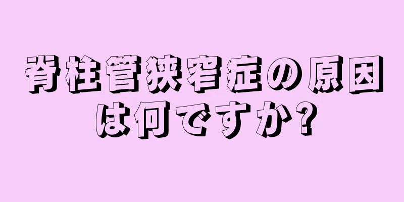 脊柱管狭窄症の原因は何ですか?