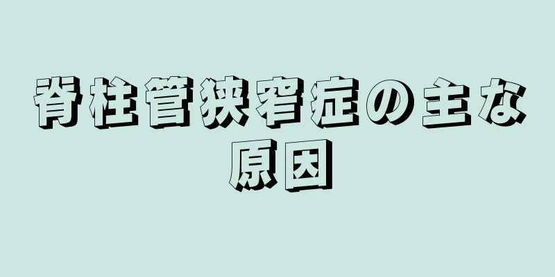 脊柱管狭窄症の主な原因