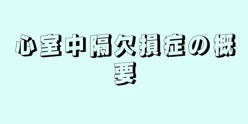 心室中隔欠損症の概要