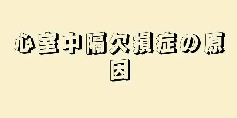 心室中隔欠損症の原因