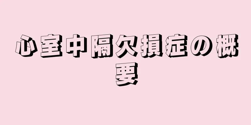 心室中隔欠損症の概要