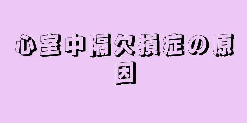 心室中隔欠損症の原因