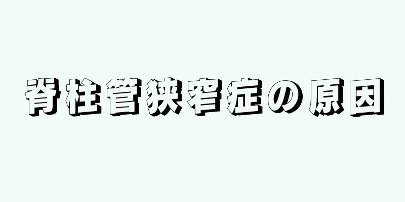 脊柱管狭窄症の原因