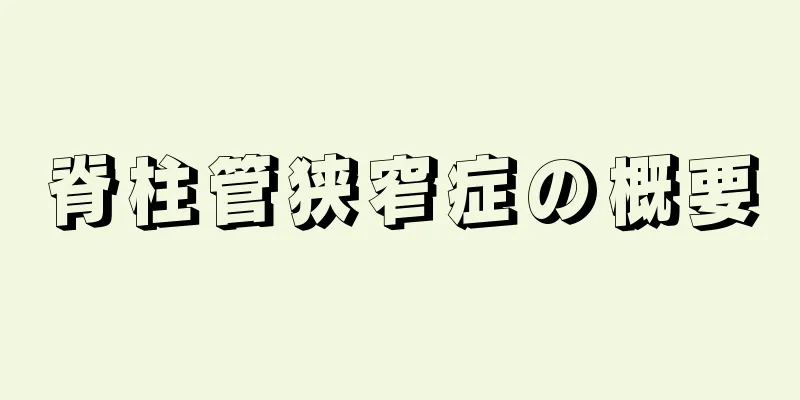 脊柱管狭窄症の概要