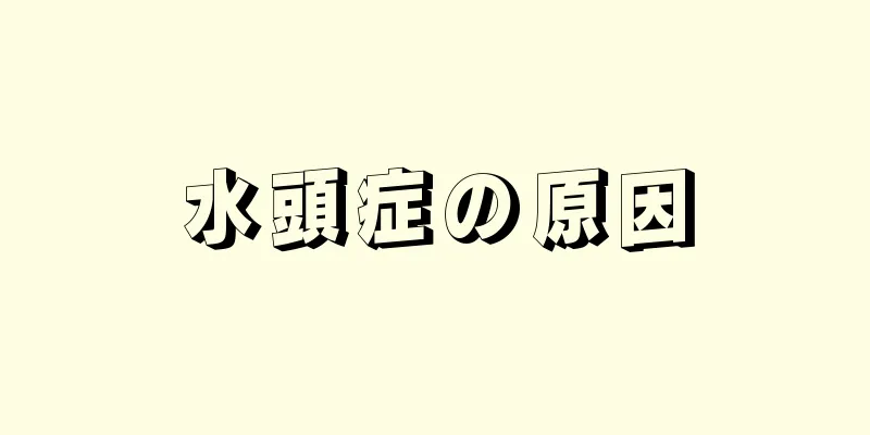 水頭症の原因