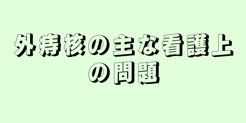 外痔核の主な看護上の問題
