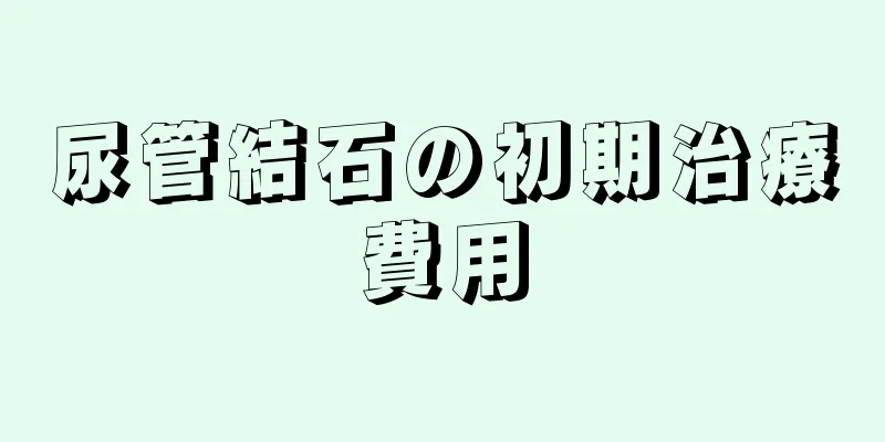 尿管結石の初期治療費用