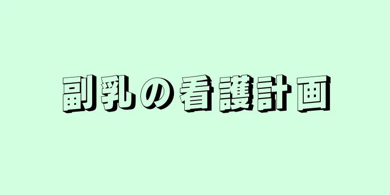 副乳の看護計画