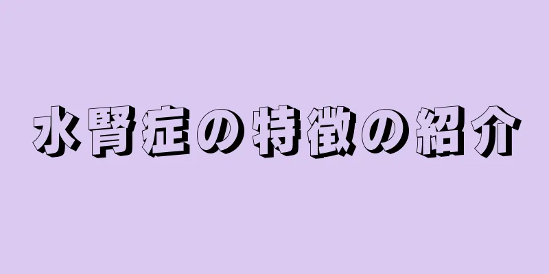 水腎症の特徴の紹介