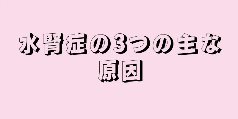 水腎症の3つの主な原因