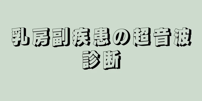 乳房副疾患の超音波診断