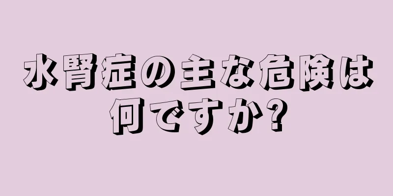 水腎症の主な危険は何ですか?