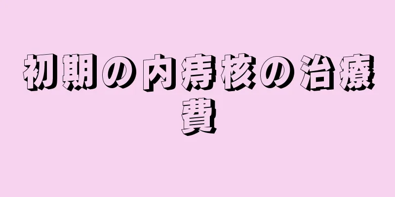 初期の内痔核の治療費
