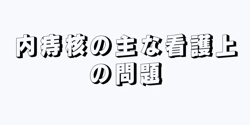 内痔核の主な看護上の問題
