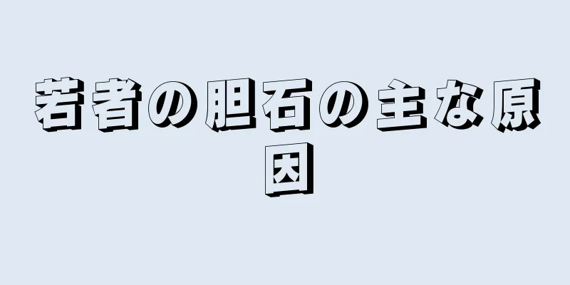 若者の胆石の主な原因