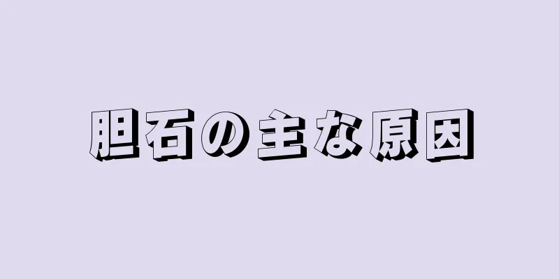 胆石の主な原因