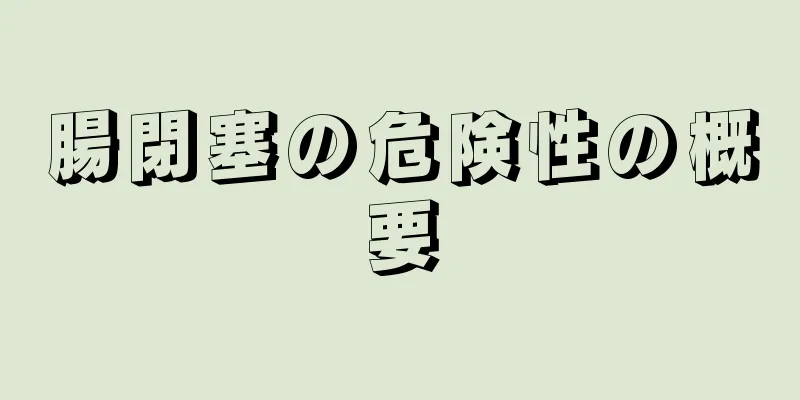 腸閉塞の危険性の概要