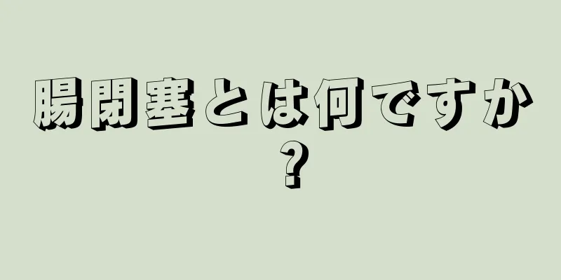 腸閉塞とは何ですか？