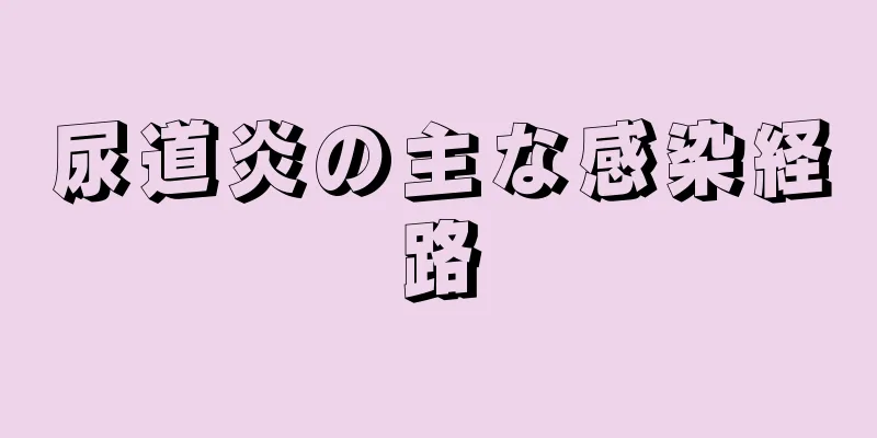 尿道炎の主な感染経路