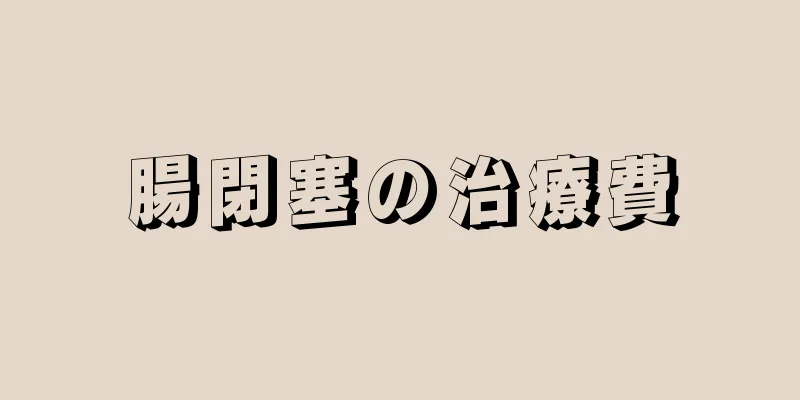腸閉塞の治療費