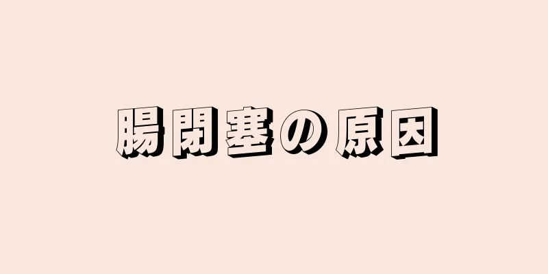 腸閉塞の原因