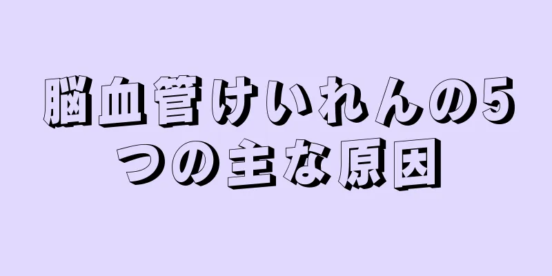 脳血管けいれんの5つの主な原因