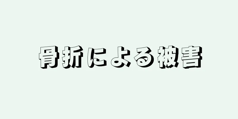 骨折による被害