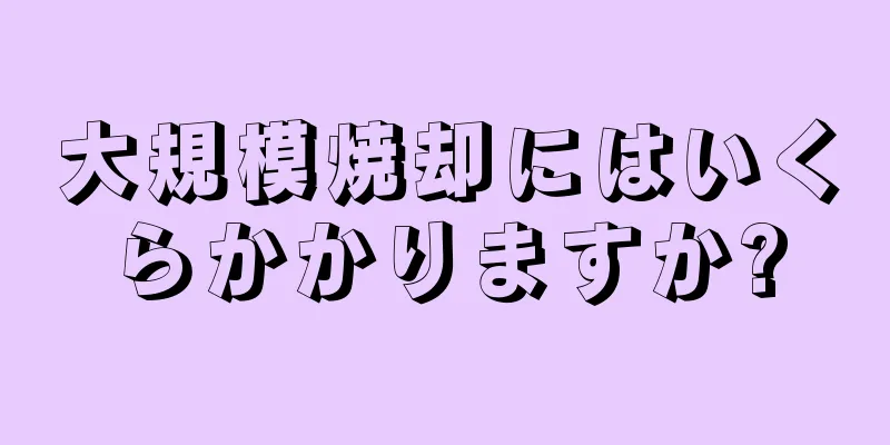 大規模焼却にはいくらかかりますか?